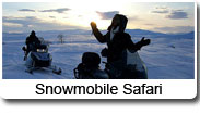 Snowmobile Safari